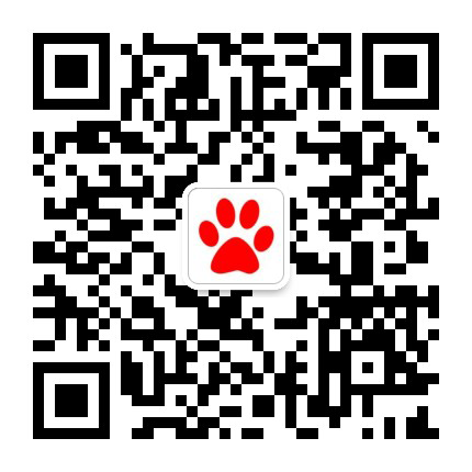 关注微信公众号